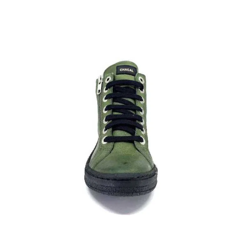 Chacal 6535 Cuir Vert