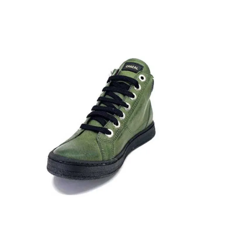 Chacal 6535 Cuir Vert