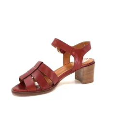 Ivoire 1112 Cuir Marron