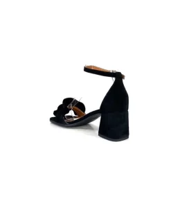 Ivoire 8453770 Daim Noir