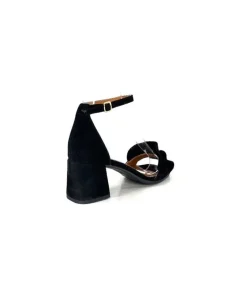 Ivoire 8453770 Daim Noir