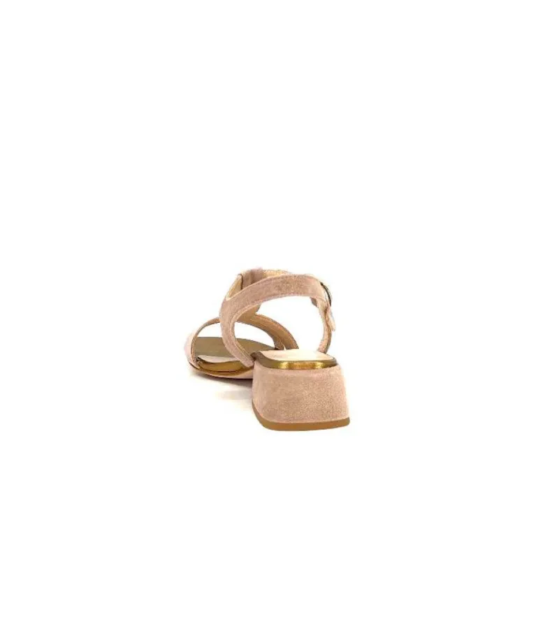 Ivoire 101 F Glory Daim Nude Terra