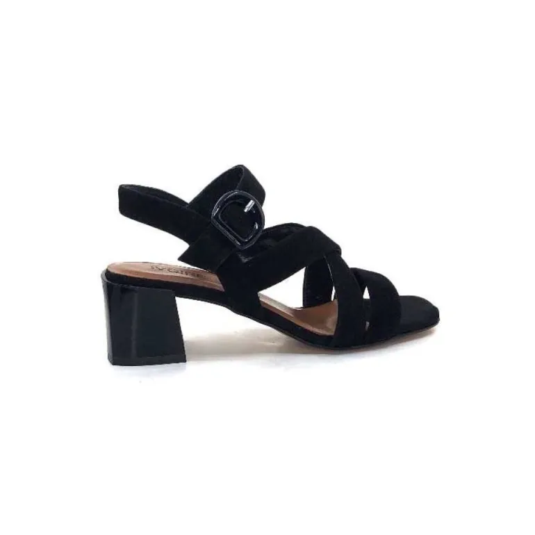 Ivoire F2063 Sardegna Daim Noir