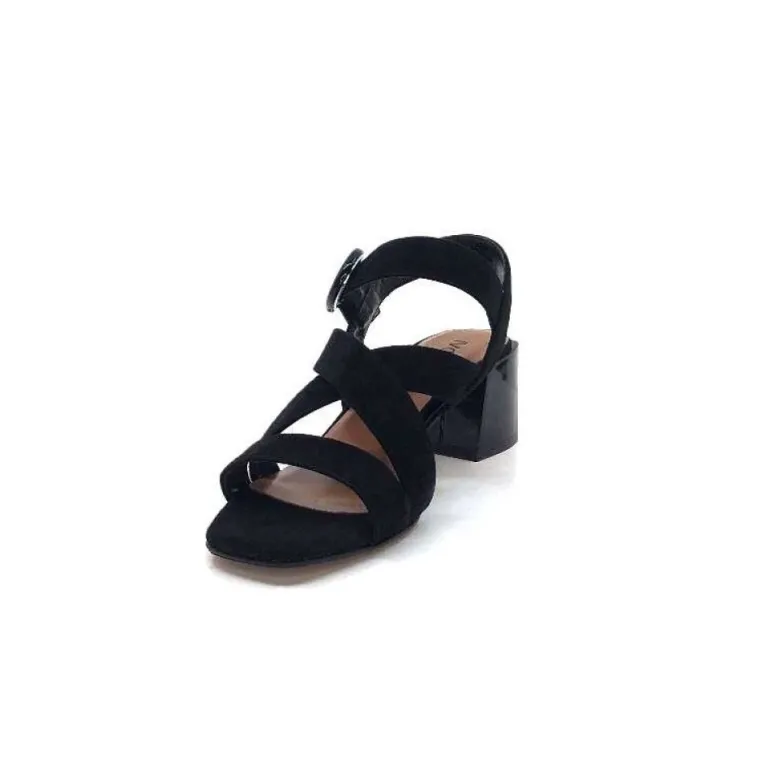 Ivoire F2063 Sardegna Daim Noir