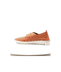 Ivoire Hy 2023.1 Cuir Corail